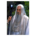 Fotografie Saruman, (26.7 x 40 cm)