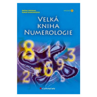 Velká kniha numerologie - Editha Wüstová, Sabine Schieferleová