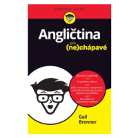 Angličtina pro nechápavé - Gail Brenner