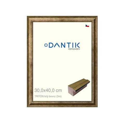 DANTIK rámeček 30 × 40, TRITON bílý bronz plexi čiré