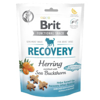 Brit Care Dog Functional Snack Recovery 150 g