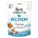 Brit Care Dog Functional Snack Recovery 150 g