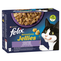 Felix Fantastic lahodný výběr v želé - s krútou, jehněčím, makrelou a sleděm 12 x 85 g