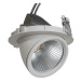 NBB GIMBAL LED COB DOWNLIGHT 20W/927 60° CRI90+ pr.145x120mm IP20 253424040