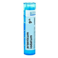 BOIRON Arsenicum Iodatum CH9 4 g