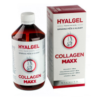 Hyalgel Collagen MAXX 500 ml