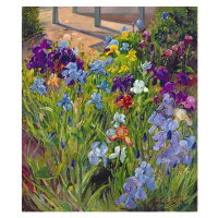 Obrazová reprodukce Irises and Summer House Shadows, 1996, Timothy Easton, 35 × 40 cm