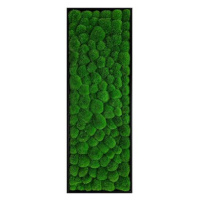 MossArtDeco Obraz 110 × 60 cm, světle zelený kopečkový mech, černý tenký rám