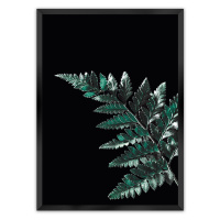 Dekoria Plakát Dark Fern Leaf, 70 x 100 cm, Volba rámku: Černý