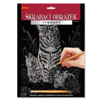 ArtLover Škrabací obrázek stříbrný, více druhů