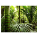 Obrazová vliesová fototapeta na zeď čtyřdílná FTNxxl0465 Bambusový les, velikost 360 x 270 cm