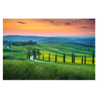 Fotografie Famous Tuscany landscape with curved road, Janoka82, 40 × 26.7 cm