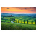 Fotografie Famous Tuscany landscape with curved road, Janoka82, 40 × 26.7 cm