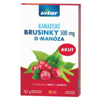 Revital Kanadské brusinky Akut 500mg cps.15