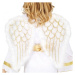 Křídla andělská se zlatým třpytem 47x40cm