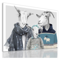 Obraz na plátně GOAT FAMILY IN SWEATERS - motiv D různé rozměry Ludesign ludesign obrazy: 100x70