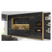 ArtExt Kuchyňská skříňka vysoká pro vestavnou lednici BONN | D14DL 60 207 Barva korpusu: Černá