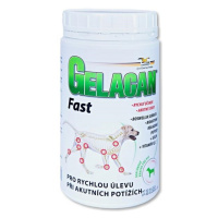 GELACAN Fast 500 g