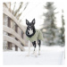 Zimní obleček pro psy Paikka - zelená Velikost: 70