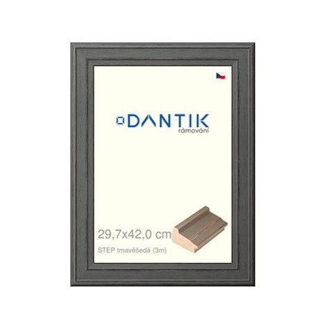 DANTIK rámeček 29,7 × 42, STEP tmavěšedý plexi čiré