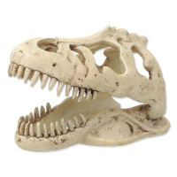 Dekorace Repti Planet T-REX lebka 13,3x8,5x9cm