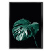 Dekoria Plakát Dark Monstera, 70 x 100 cm, Volba rámku: Černý