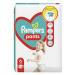 Pampers Pants vel. 6 14–19 kg plenkové kalhotky 44 ks