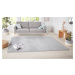 Hanse Home Collection koberce Kusový koberec Nasty 101595 Silber - 67x120 cm