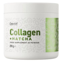 OstroVit kolagen + matcha, 210 g