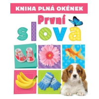 Kniha plná okének První slova