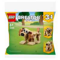 Lego® Creator 3 v 1 30666 Dárková zvířátka