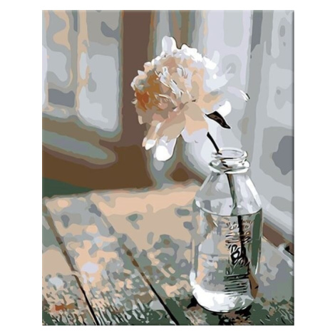 Zuty Malování podle čísel Květina v láhvi