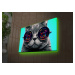Nástěnný obraz s LED osvětlením CAT