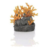 biOrb Lava rock with fire coral ornament