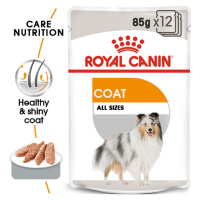 ROYAL CANIN COAT CARE kapsička pro lesklou srst 12× 85 g