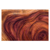 Fotografie Wood pattern, 40 × 26.7 cm