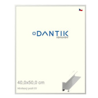 DANTIK rámeček 40 × 50, ALU profil 6001 Stříbrný lesklý sklo čiré