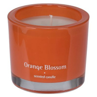 H&L Vonná svíčka ve skle Bougie 9 cm, Orange Blossom, oranžová