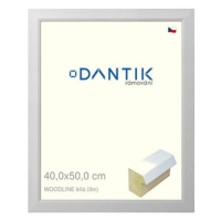 DANTIK rámeček 40 × 50, WOODLINE bílý sklo čiré