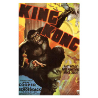 Umělecká fotografie King KONG, 1933, (26.7 x 40 cm)
