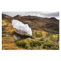 Umělecká fotografie The Jacobite Steam train Crossing the, Paul C Stokes, (40 x 26.7 cm)