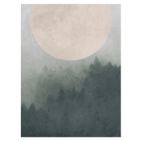 Ilustrace Moonbird, Finlay & Noa, 30x40 cm