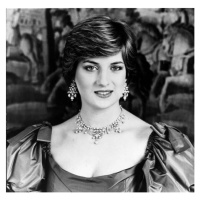 Umělecká fotografie Lady Diana, (40 x 40 cm)