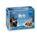Brit Premium Cat Delicate Fillets in Gravy Family Plate 1020 g (12 × 85 g)