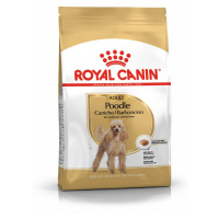 Royal Canin Poodle Adult - granule pro dospělého psa pudla 1,5 kg