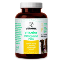 Vetamix vitamíny - každodenní péče 300 g