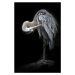 Fotografie The Great Blue Heron, Linda D Lester, 26.7 × 40 cm