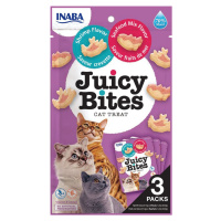 INABA Cat Juicy Bites - s krevetami a mořskými plody 3 x 11,3 g