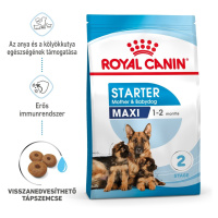 Royal Canin Maxi Starter - granule pro štěňata a těhotné psy velkých plemen 4 kg