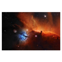 Umělecká fotografie Horsehead nebula, IC 434 Narrowband, Paul C Swift, (40 x 26.7 cm)